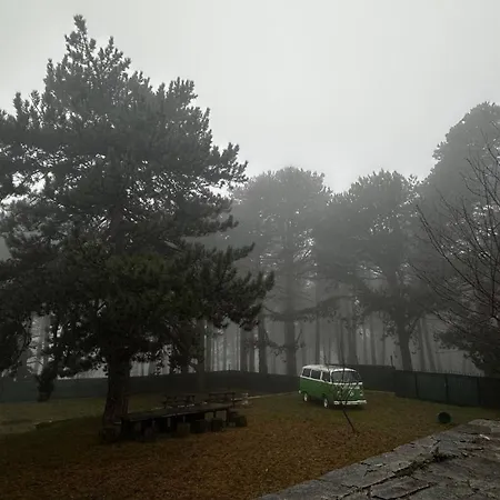 Uludag Ztrk Mountain House בקתה *