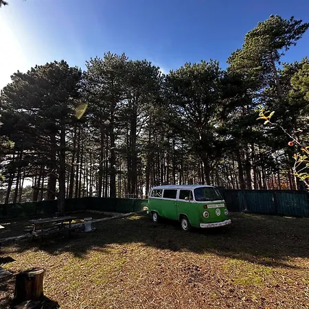 Uludag Ztrk Mountain House *