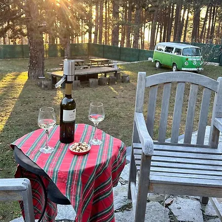 Uludag Ztrk Mountain House *