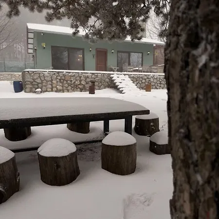 Uludag Ztrk Mountain House בקתה *