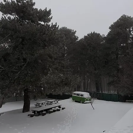 Uludag Ztrk Mountain House בקתה